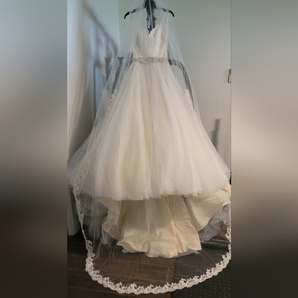 Ivory Light Gold Elegant Bridal Gown 5416 - Picture 9 of 13